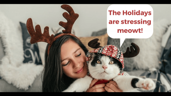 The Holidays are stressing meowt!.png