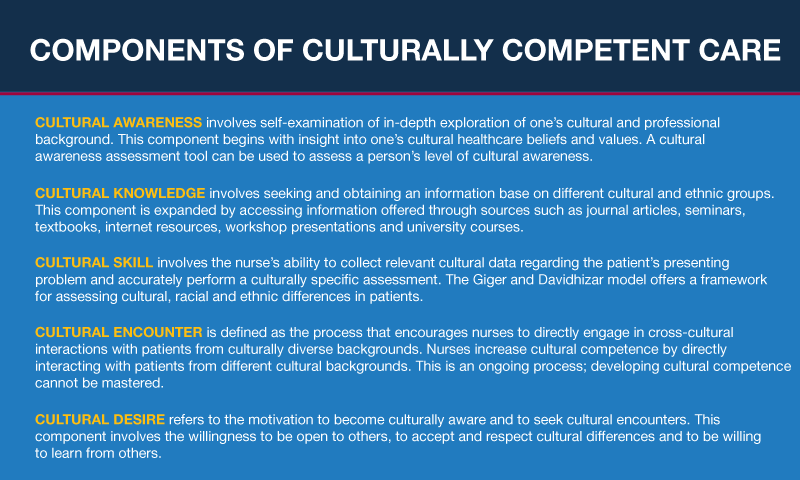 A Guide To Culturally Competent Nursing Care