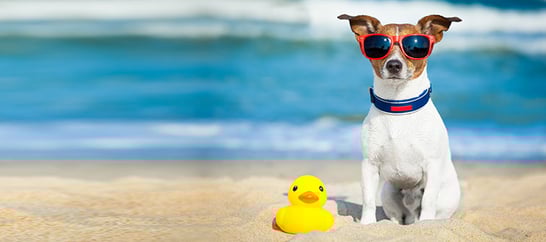 vacation-rentals-slider3.jpeg